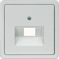 Central cover plate UAE/IAE (ISDN) 5TG1765
