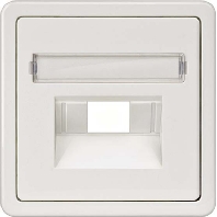 Central cover plate UAE/IAE (ISDN) 5TG1767
