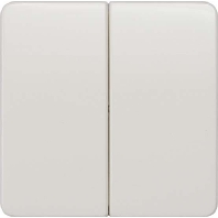 Cover plate for switch/push button 5TG7925