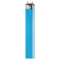 Leuchtstofflampe 36W blau TL-D 36W/18