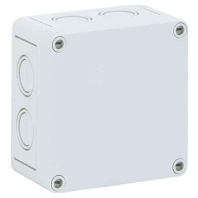Switchgear cabinet 66x110x110mm IP66 TK PS 1111-7-m