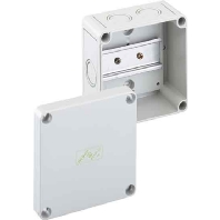 Surface mounted terminal box RK4/34L-Leer