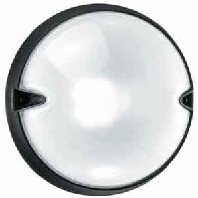Deckenleuchte E27 1x21W CHIP TONDO 30 sw