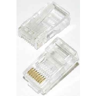 RJ45 8(8) plug T55 (quantity: 2)