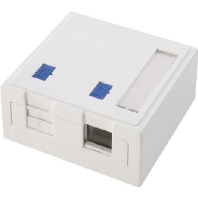 Data outlet white H02000A0072