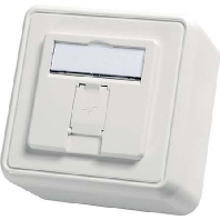 Modul-Aufnahme AP 80x80 1fach aws leer H02000A0090