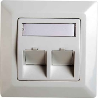 Modul-Aufnahme 2-fach 80x80, aws H02010A0040