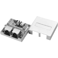 RJ45 8(8) Data outlet Cat.6 white J00023A0056