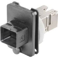 STX V4 Flanschset RJ45 Kupplung Cat.6 J80020A0005