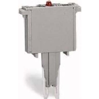 Component plug terminal block 280-801/281-418