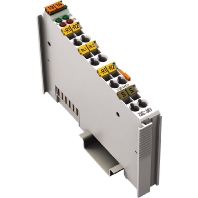 Analog Eingangsklemme 2AI 10-5000 Ohm 750-461/000-007