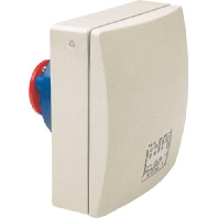 Architectural socket CEE 16A-socket 6h 415306