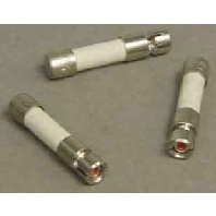 Miniature fuse medium delay 1A 5x25 mm G 25/1.00A/M RT