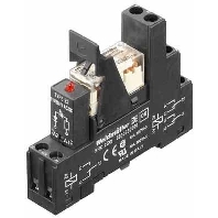Switching relay DC 24V RCLKIT 24VDC2COLEDGN