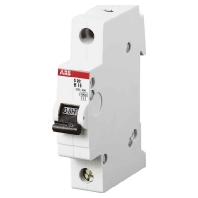 Miniature circuit breaker 1-p C1A S201M-C1