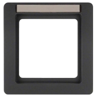 Frame 1-gang anthracite 10116016