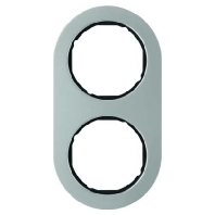 Frame 2-gang stainless steel 10122004