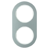 Frame 2-gang stainless steel 10122014