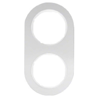 Frame 2-gang aluminium 10122074