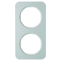 Frame 2-gang aluminium 10122174