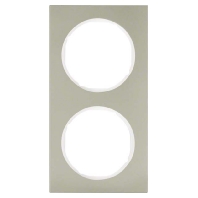 Frame 2-gang stainless steel 10122214
