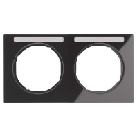 Frame 2-gang black 10122235