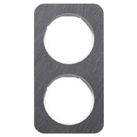 Frame 2-gang anthracite 10122389
