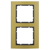 Frame 2-gang gold 10123016