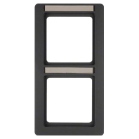 Frame 2-gang anthracite 10126016