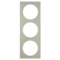 Frame 3-gang stainless steel 10132214