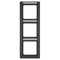 Frame 3-gang anthracite 10136016