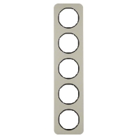 Frame 5-gang stainless steel 10152104