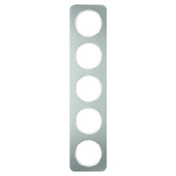 Frame 5-gang stainless steel 10152114