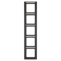 Frame 5-gang anthracite 10156016