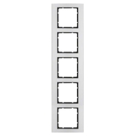 Frame 5-gang aluminium 10156904
