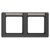 Frame 2-gang anthracite 10226016