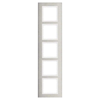 Frame 5-gang stainless steel 10253609