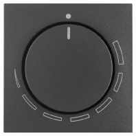 Cover plate for switch anthracite 11371626