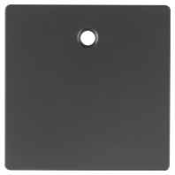 Cover plate for switch/push button 11466086