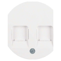 Central cover plate Modular Jack 11812089