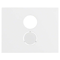 Central cover plate 11847009