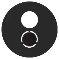 Central cover plate 11962045