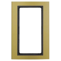 Frame 1-gang gold 13093016