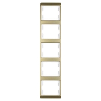 Frame 5-gang gold 13540002
