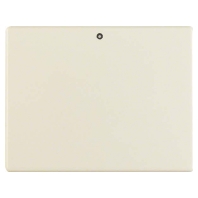 Cover plate for switch/push button white 14250002