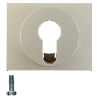 Cover plate for switch/push button 15057004