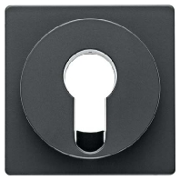 Cover plate for switch/push button 15076086