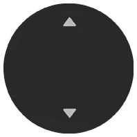 Cover plate for switch/push button black 16202005