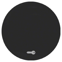 Cover plate for switch/push button black 16202015