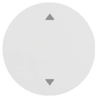 Cover plate for switch/push button white 16202049